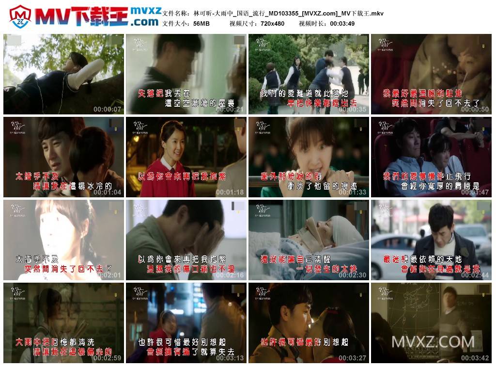 林可昕-大雨中_国语_流行_MD103355